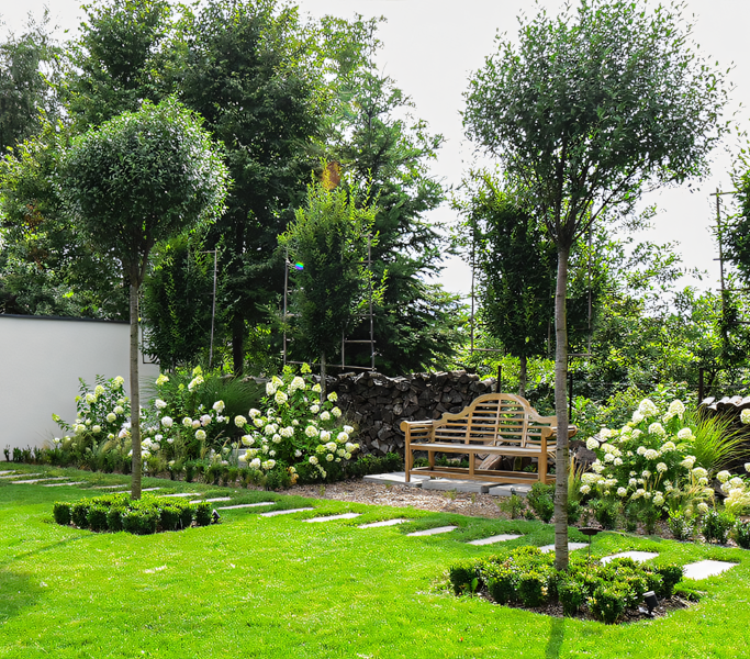 Garten mit einer Bank, grünem Rasen und einigen Bäumen